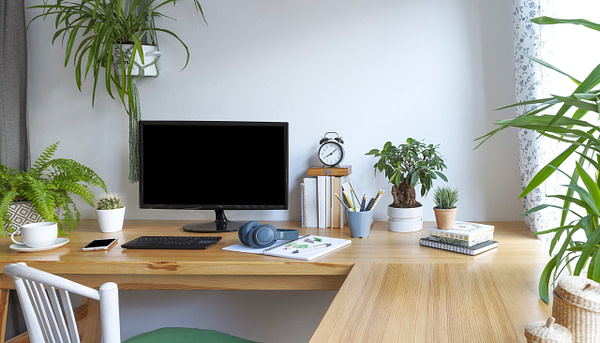 Image Of Home Office With Desktop Computer And Small Indoor Plants Showing The Health Benefits Of Indoor Plants