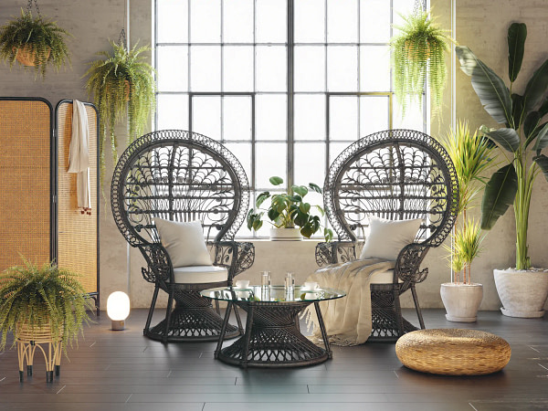 Image Of Easy To Care For Indoor Ferns In Hanging Baskets In A Modern Bright Room.